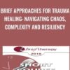 Brief Approaches for Trauma Healing: Navigating Chaos, Complexity and Resiliency - Ronald Alexander