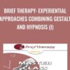Brief Therapy: Experiential Approaches Combining Gestalt and Hypnosis (I) - Jeffrey Zeig & Erving Polster