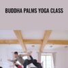 Buddha Palms Yoga Class - Dylan Werner