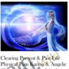 Clearing Present & Past-Life Physical Pain Karma & Angelic Clearing of Pain Stuck in the Body/Organ/Cells