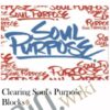 Clearing Soul's Purpose Blocks