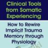 Clinical Tools from Somatic Experiencing: How to Rewire Implicit Trauma Memory through Physiology - Abi Blakeslee