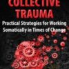 Collective Trauma: Practical Strategies for Working Somatically in Times of Change - Manuela Mischke-Reeds