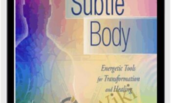 The Subtle Body Training Course - Cyndi Dale