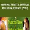 Medicinal Plants & Spiritual Evolution Intensive (2017) - David Crow