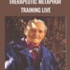 Therapeutic Metaphor Training LIVE - David Gordon