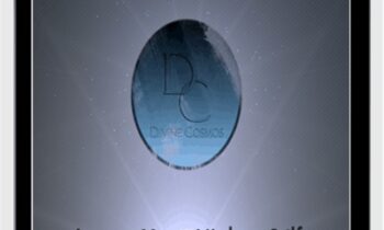 Access Your Higher Self Program - David Wilcock