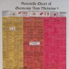 The Scientific Chart Of Germanic New Medicine - Ryke Geer Hamer