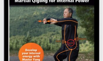 Neigong - Martial Qigong for Internal Power - Yang Jwing-Ming