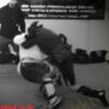 EMAX SAMBO MMA Leg Attacks Scott Sonnon