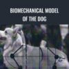 BioMechanical Model of the Dog - Evgenij Yerusalimsky