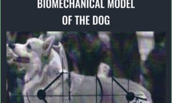 BioMechanical Model of the Dog - Evgenij Yerusalimsky