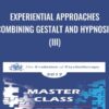 Experiential Approaches Combining Gestalt and Hypnosis (III) - Jeffrey Zeig & Erving Polster