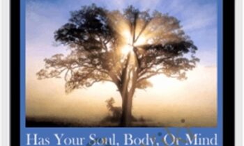 Has your soul, body, or mind "given up" on you? -- Clearing abdication programs