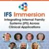 IFS Immersion: Integrating Internal Family Systems (IFS) Across Clinical Applications - Frank Anderson