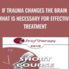If Trauma Changes the Brain What is Necessary for Effective Treatment - Bessel van der Kolk