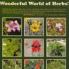 Herb Course: The Wonderful World of Herbs! - Isabell Shipard