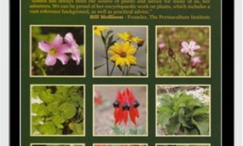 Herb Course: The Wonderful World of Herbs! - Isabell Shipard