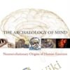 The Archaeology of Mind: Neuroevolutionary Origins of Human Emotions - Jaak Panksepp