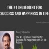 The #1 Ingredient for Success and Happiness in Life - Joe Rubino