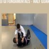 BJJ Gi Fundamentals - Half Guard - John Danaher