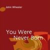 You Were Never Born - John Wheeler
