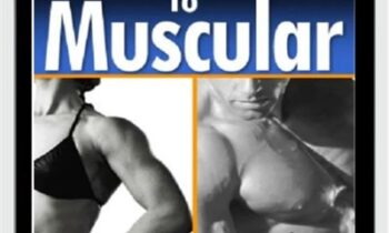 From Skinny To Muscular - Jonathan Perez