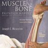 The Muscle and Bone Palpation Manual - Joseph Muscolino