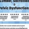 Manual Therapy for Lumbar, Sacroiliac, & Pelvic Dysfunctions - Shane Malecha