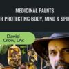 Medicinal palnts for Protecting Body, Mind & Spirit - David Crow
