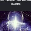Deep Learning Plunge into Deep Learning - Muni Kumar Gopu V R