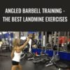 Angled Barbell Training - The BEST Landmine Exercises - Nick Tumminello