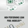 Non Performing Loan Pool Modeler™
