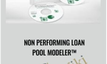 Non Performing Loan Pool Modeler™