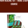 Now Healing 101 – Home Study Course - Elma Mayer