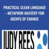 Practical Clean Language – Metaphor Mastery For Agents Of Change - Judy Rees