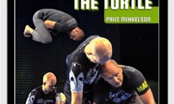 Protecting & Generating Dynamic Offense From The Turtle - Priit Mihkelson