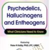 Psychedelics, Hallucinogens and Entheogens: What Clinicians Need to Know - Peter H Addy