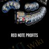 REO Note Profits