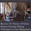 Receive 72+ Forms of Vishnu Karma Clearings During Vishnupati to Gain Momentum, Clarity, and Deeper Levels of Divine Support for your Career and Soul's Mission