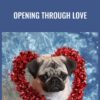 Opening Through LOVE - Rudy Hunter