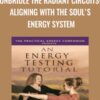 Unbridle the Radiant Circuits: Aligning with the Soul's Energy System - Sara Allen
