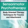 Sensorimotor Psychotherapy: Body Oriented Therapy Techniques for Trauma and Attachment - Pat Ogden