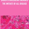 Shock & Irregular Energies: The Initiate of All Disease - Sara Allen