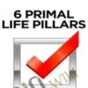 Six Primal Life Pillars Course – REWW Academy