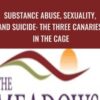 Substance Abuse, Sexuality, and Suicide: The Three Canaries in the Cage - Patrick Carnes