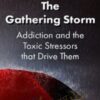 The Gathering Storm: Addiction and the Toxic Stressors that Drive Them - Patrick Carnes