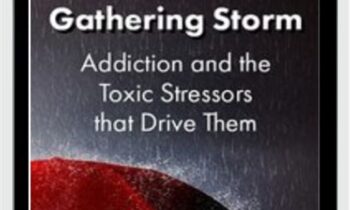 The Gathering Storm: Addiction and the Toxic Stressors that Drive Them - Patrick Carnes