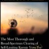 The Most Thorough and Broad-Spectrum Clearing of Self-Limiting Karmic Vows I've Ever Done, Part 2: The Second 31 Categories of Vows (Out of 94) (Recorded July 2020)