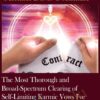 The Most Thorough and Broad-Spectrum Clearing of Self-Limiting Karmic Vows I've Ever Done, Part 1: The First 31 Categories of Vows